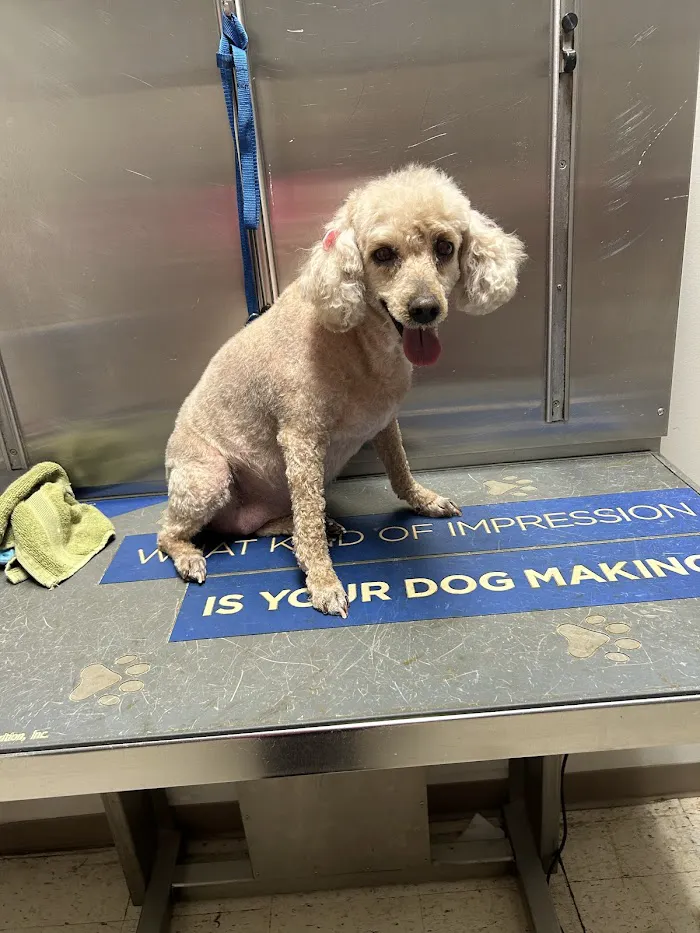 West Cobb Veterinary Clinic 12