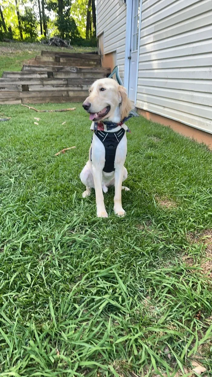 West Cobb Veterinary Clinic 12