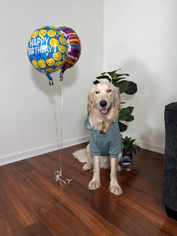 West Cobb Veterinary Clinic 12