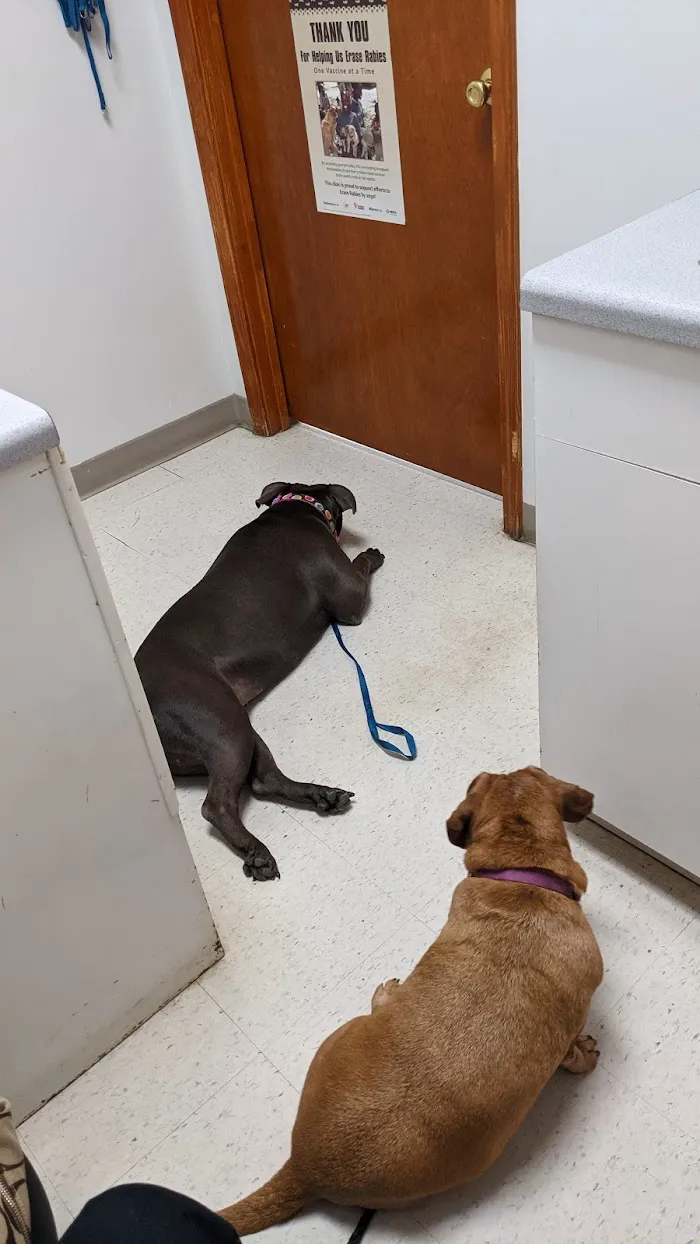 West Cobb Veterinary Clinic 12
