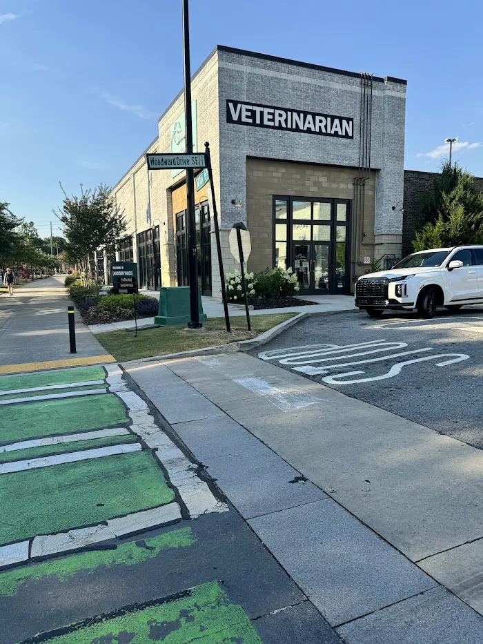 Common Companion Vet Co. 2