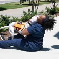 Common Companion Vet Co. ico