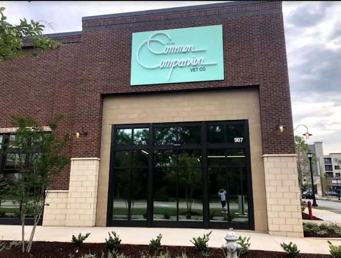 Common Companion Vet Co. 6