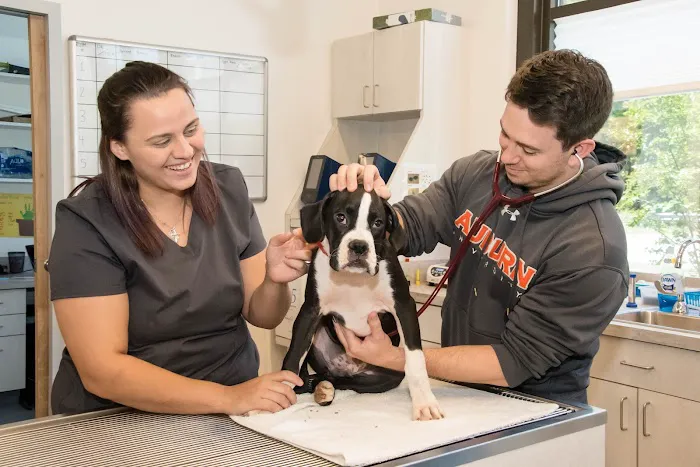 Common Companion Vet Co. 5