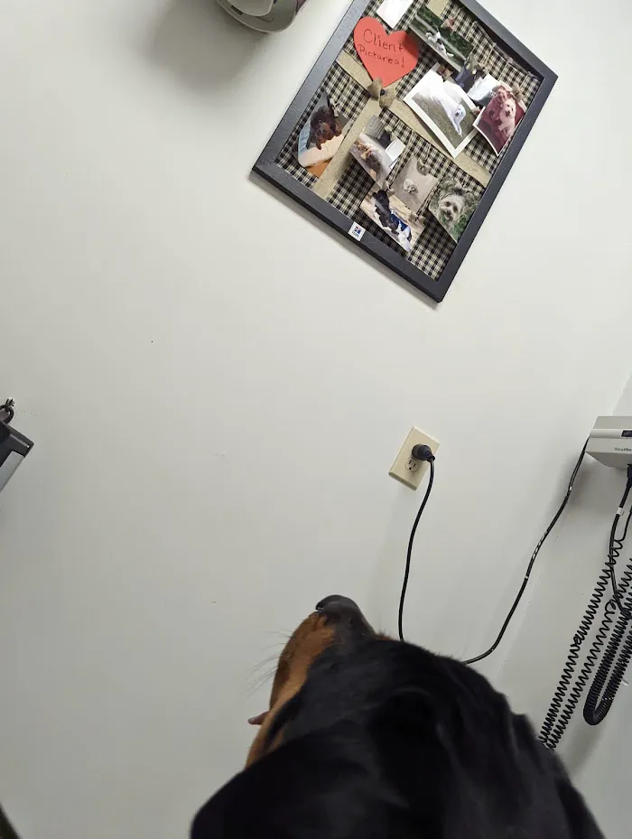 Animal Care Clinic 12