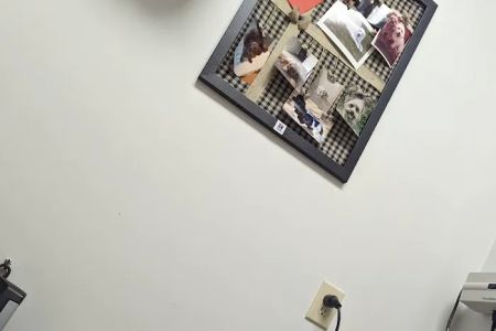 Animal Care Clinic