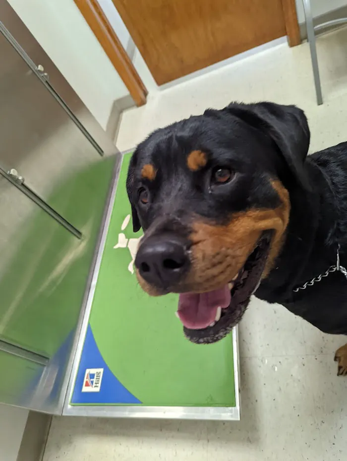 Animal Care Clinic 12