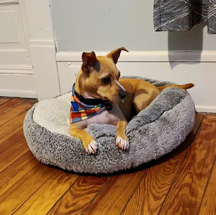 West End Animal Wellness Center 3
