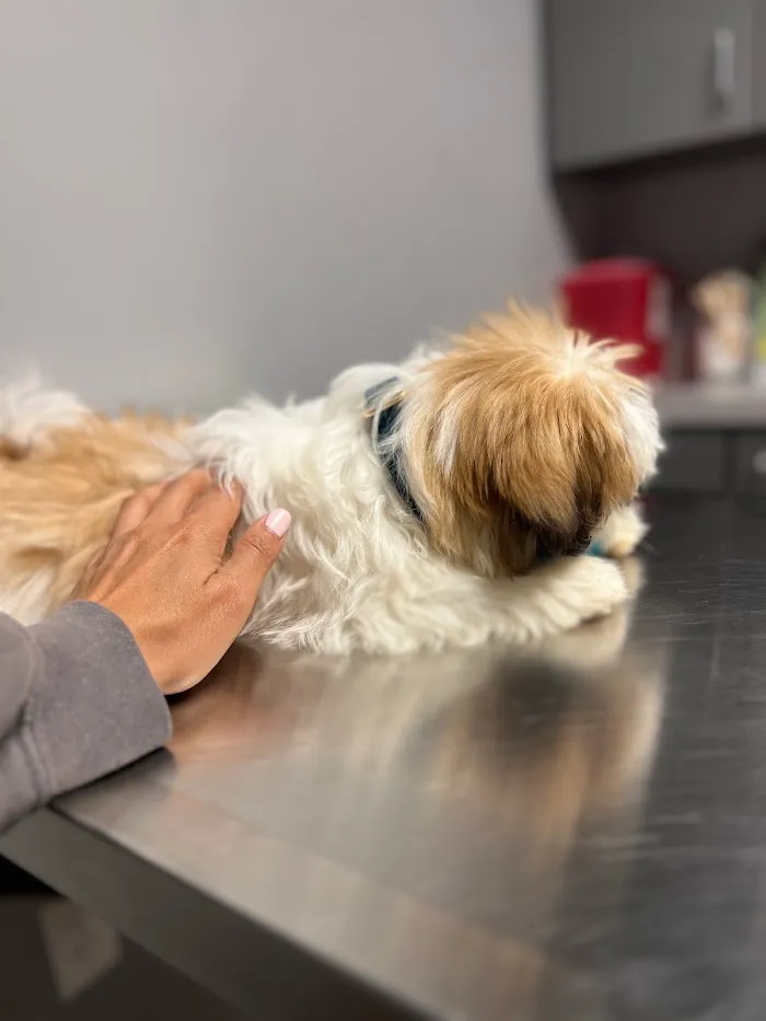 West End Animal Wellness Center 6