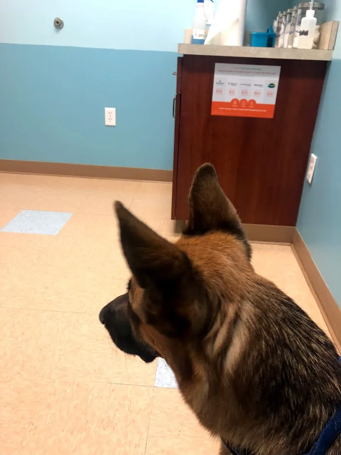 Sweetwater Creek Animal Hospital 12