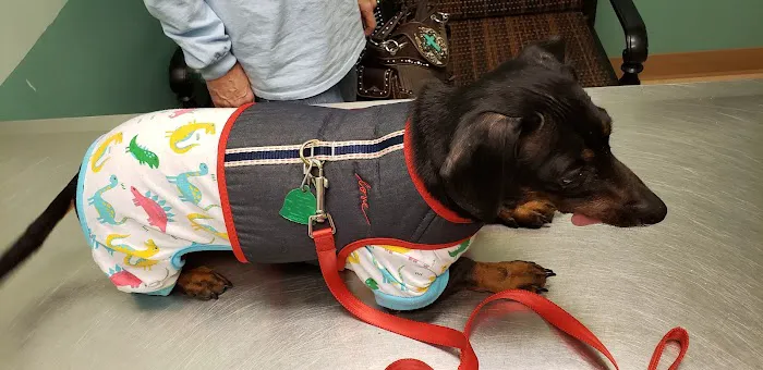 Sweetwater Creek Animal Hospital 12