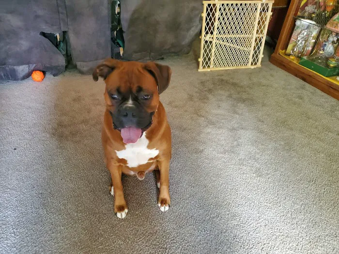Sweetwater Creek Animal Hospital 12