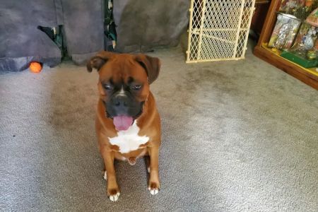 Sweetwater Creek Animal Hospital
