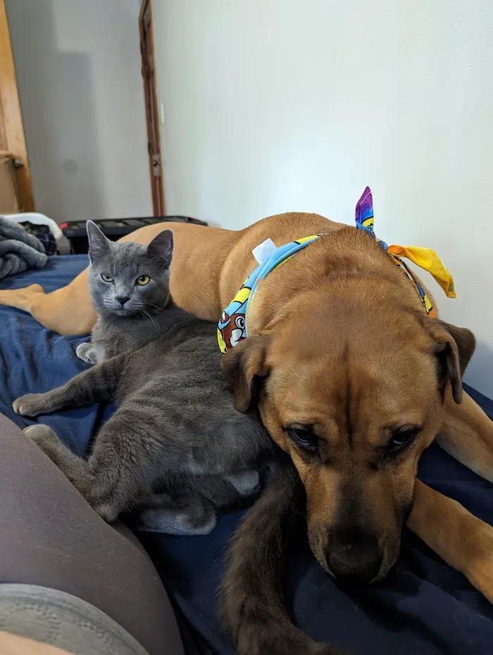 Sweetwater Creek Animal Hospital 12