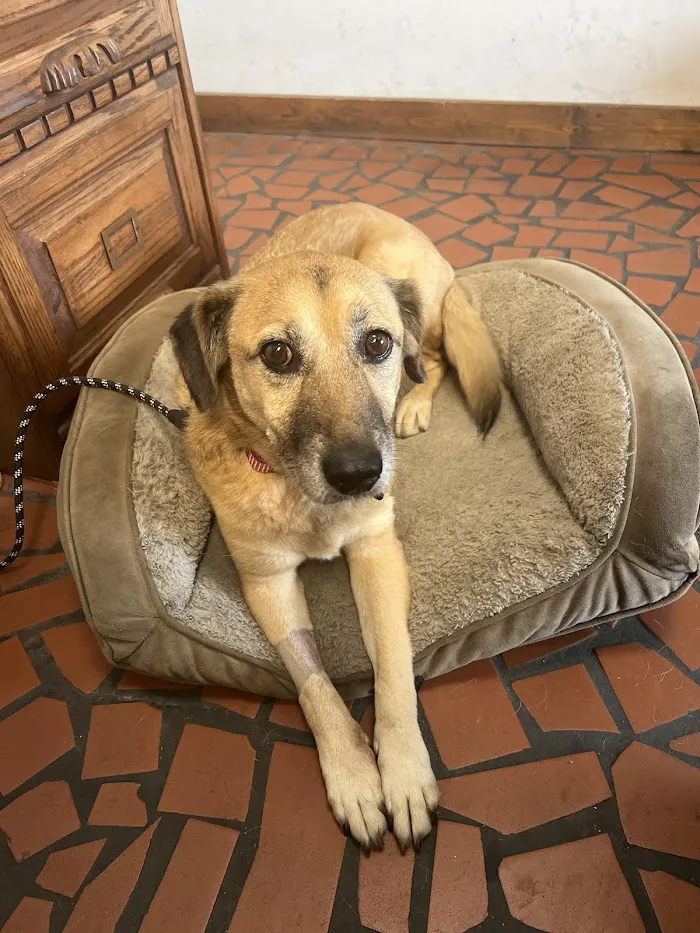 Sweetwater Creek Animal Hospital 12