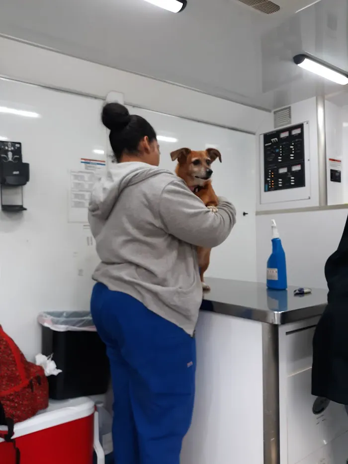 PetVet Vaccination Clinic 12