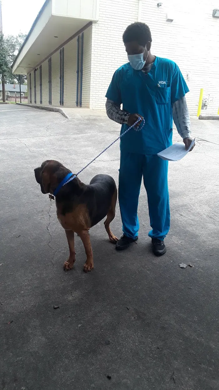 VCA College Park Animal Hospital 7