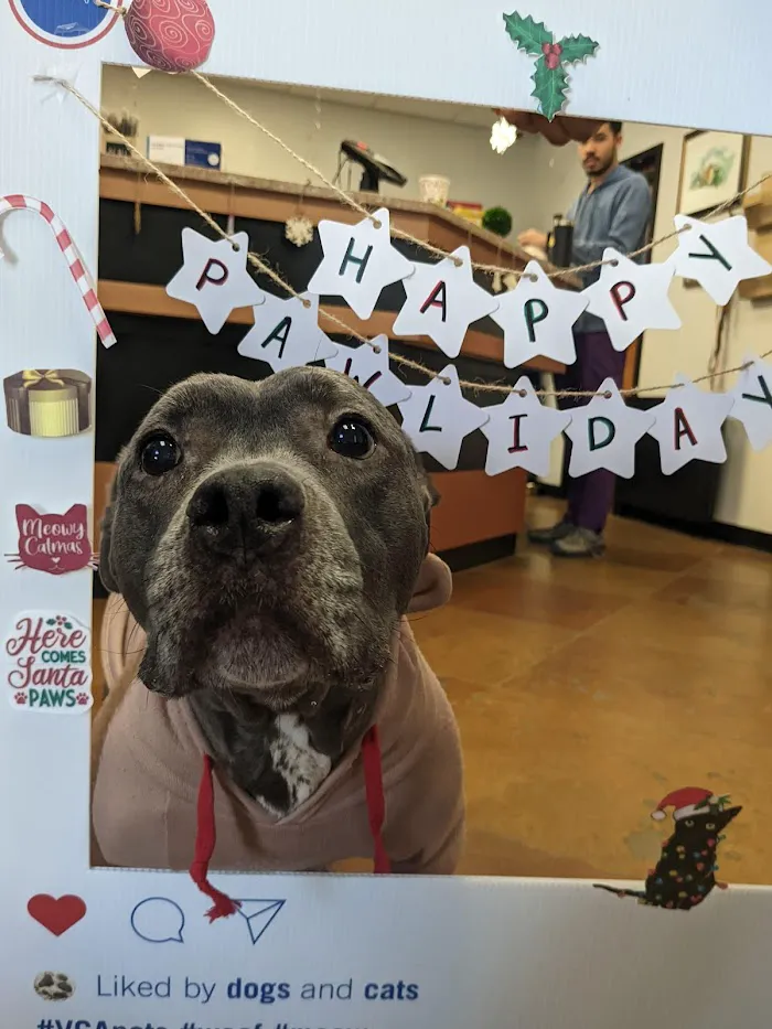 VCA College Park Animal Hospital 5