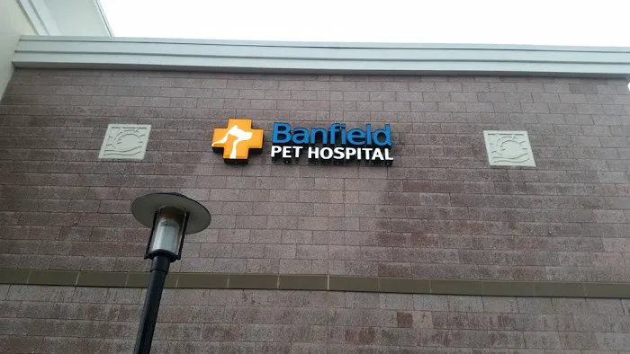 Banfield Pet Hospital 4
