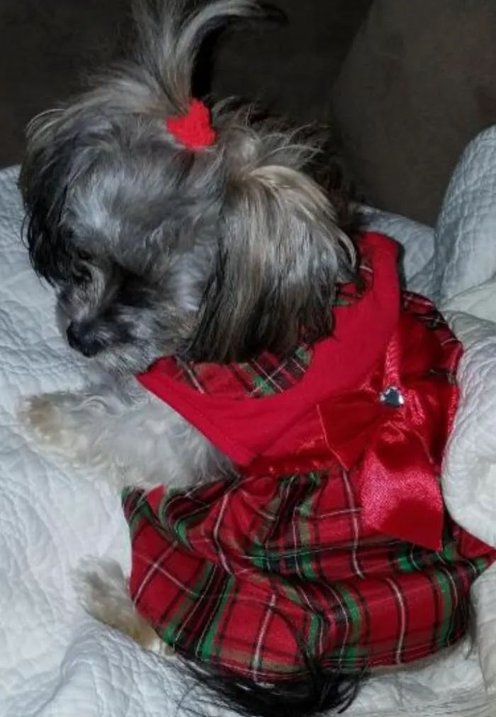 Tri-City Animal Hospital 8