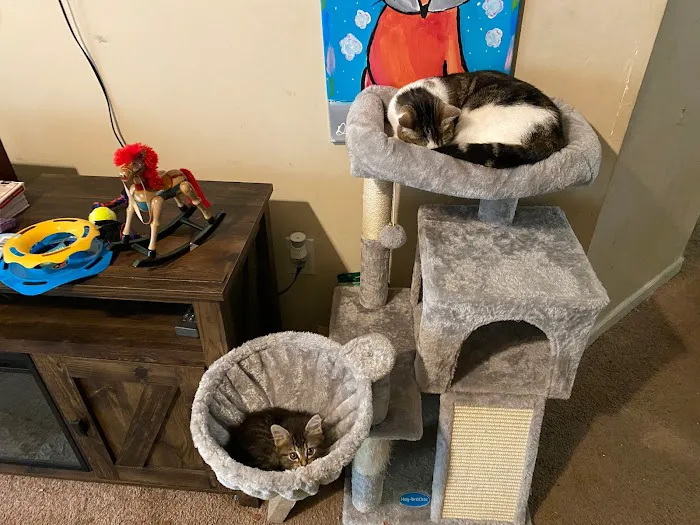 Tri-City Animal Hospital 3