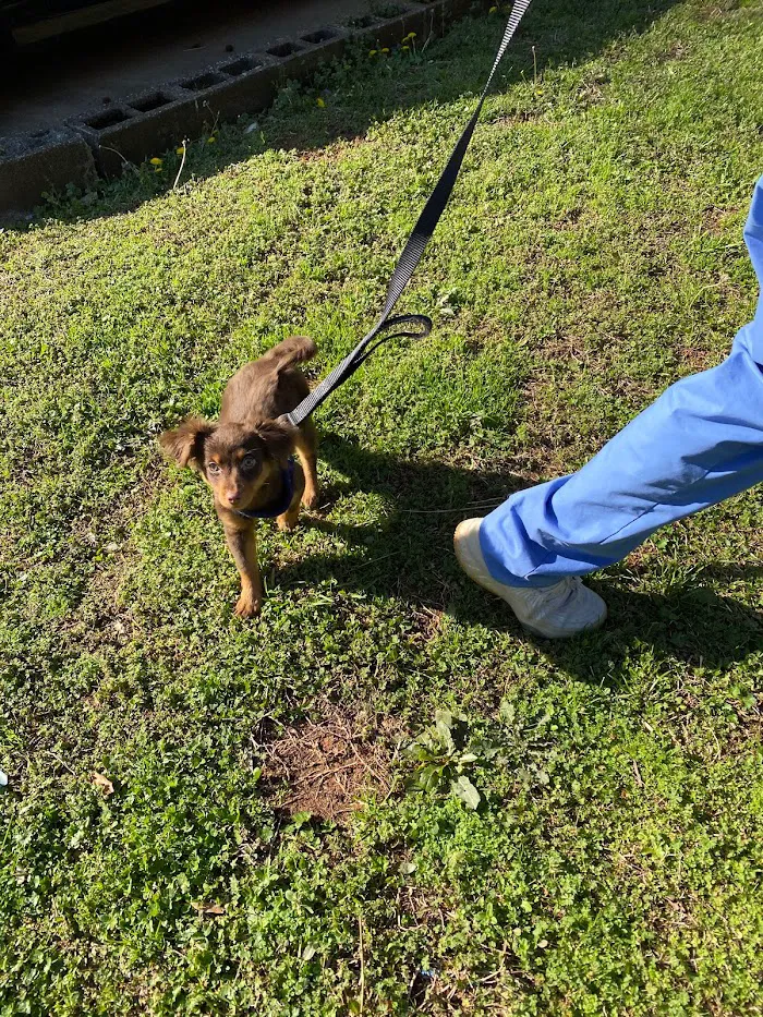 Southwest Veterinary Clinic 7