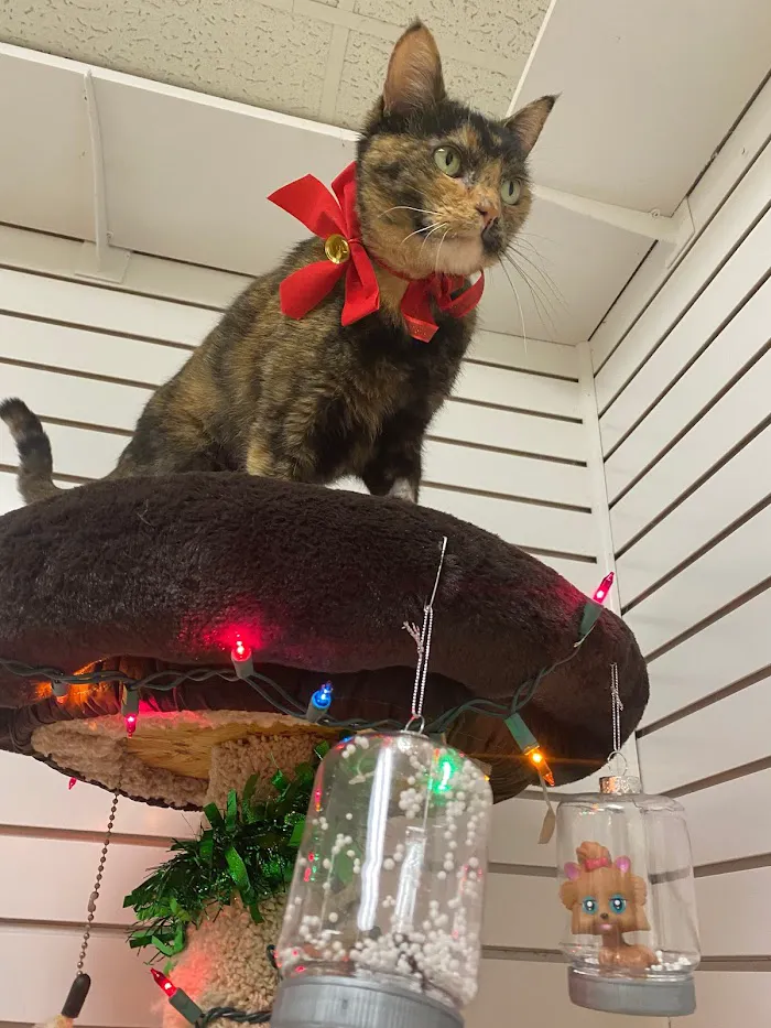 Southwest Veterinary Clinic 3