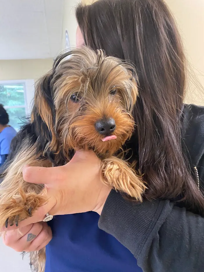 Southwest Veterinary Clinic 6