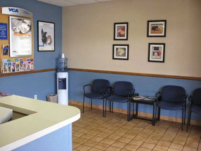 VCA Mountain View Animal Hospital 7