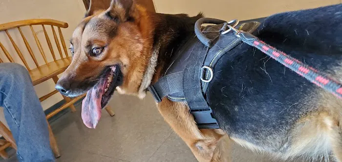 VCA Southside Animal Hospital 12