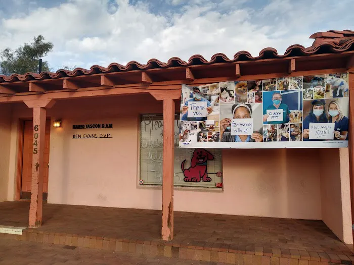 VCA Southside Animal Hospital 12