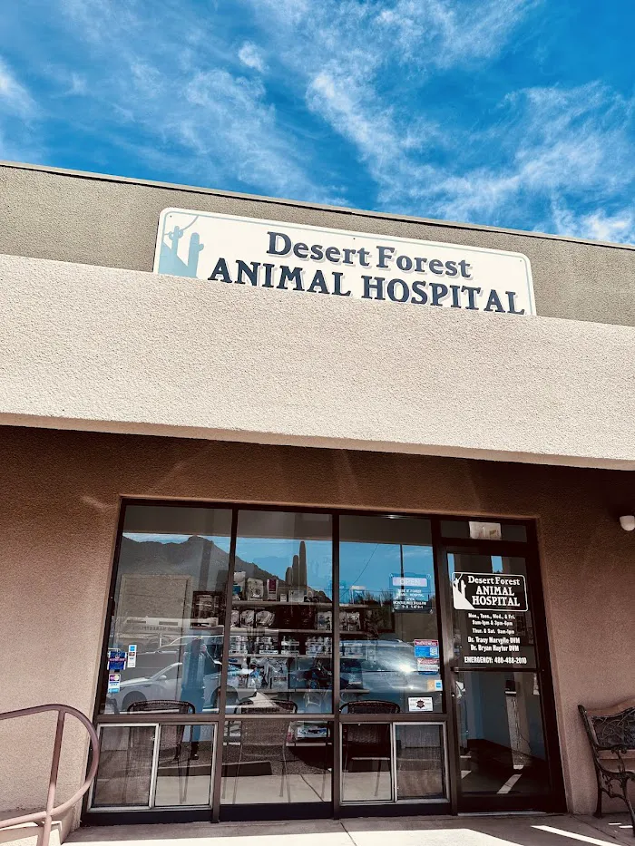 Desert Forest Animal Hospital 3