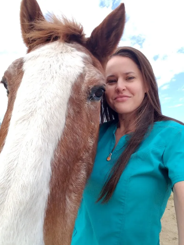 Desert Forest Animal Hospital 7