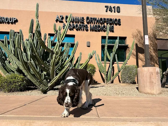 Animal Specialty Group of Scottsdale 12