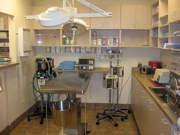 DC Ranch Animal Hospital 12