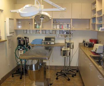 DC Ranch Animal Hospital