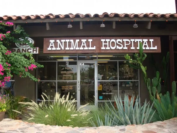 DC Ranch Animal Hospital 12