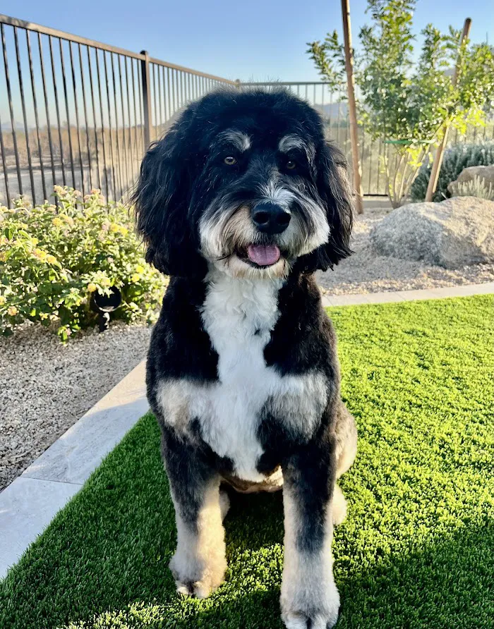 DC Ranch Animal Hospital 12