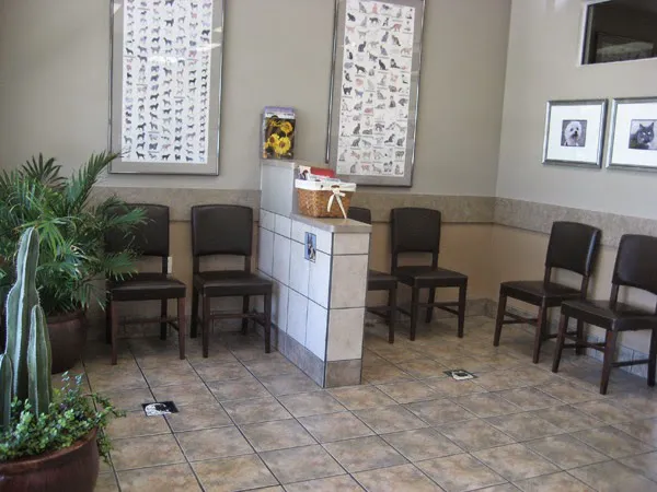 DC Ranch Animal Hospital 12