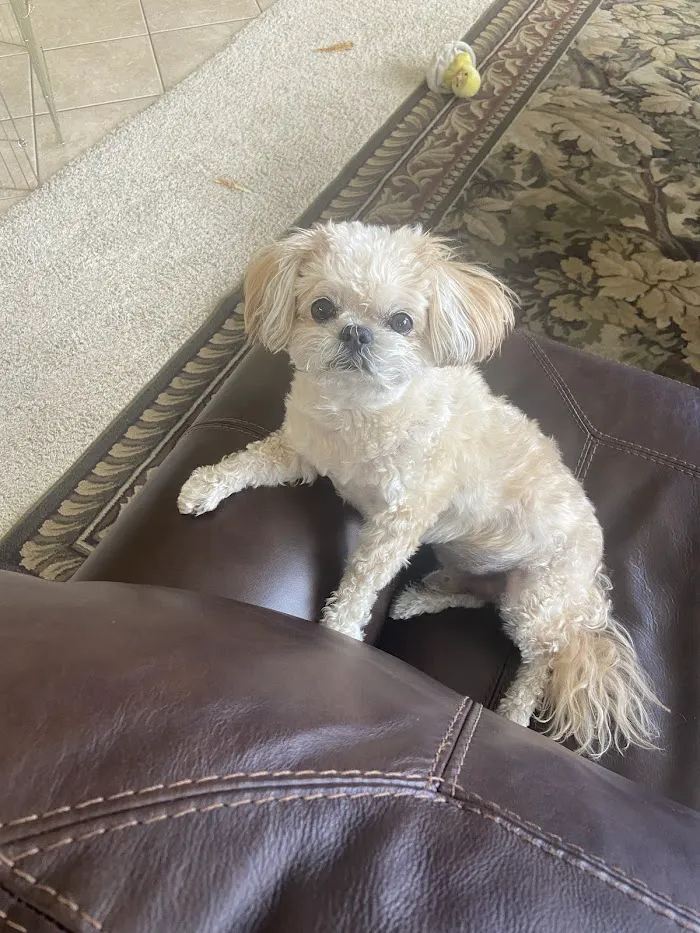 DC Ranch Animal Hospital 12