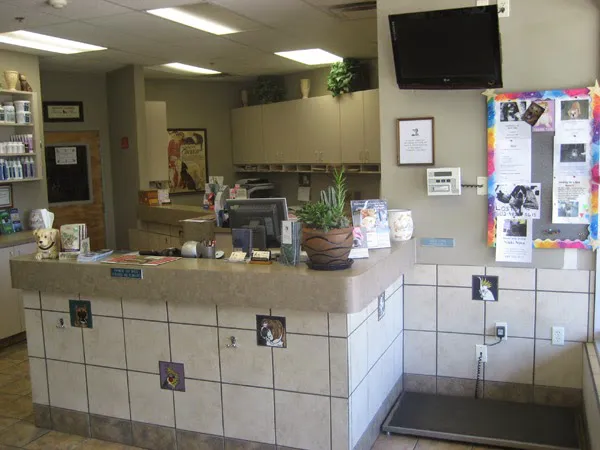 DC Ranch Animal Hospital 12