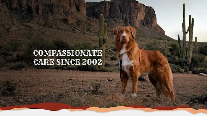 DC Ranch Animal Hospital 12