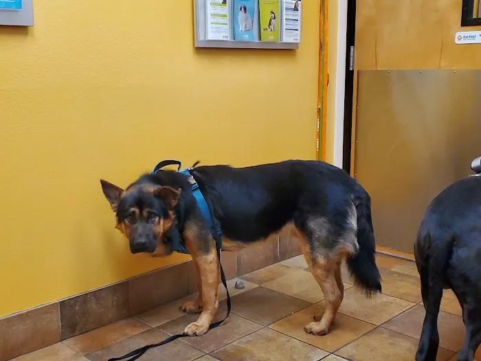 Banfield Pet Hospital 12