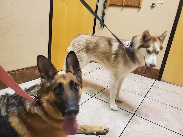 Pinnacle Peak Animal Hospital 5