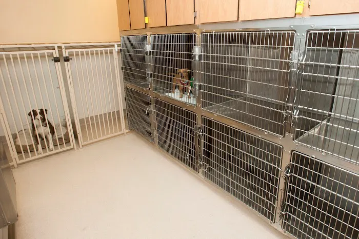 Pinnacle Peak Animal Hospital 10