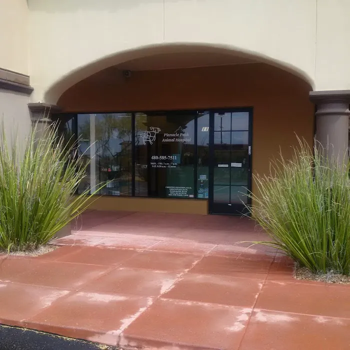 Pinnacle Peak Animal Hospital 9