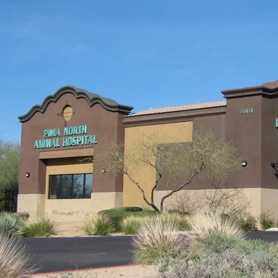Pima North Animal Hospital 12
