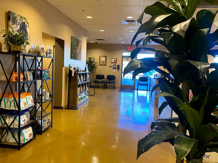 Pima North Animal Hospital 12