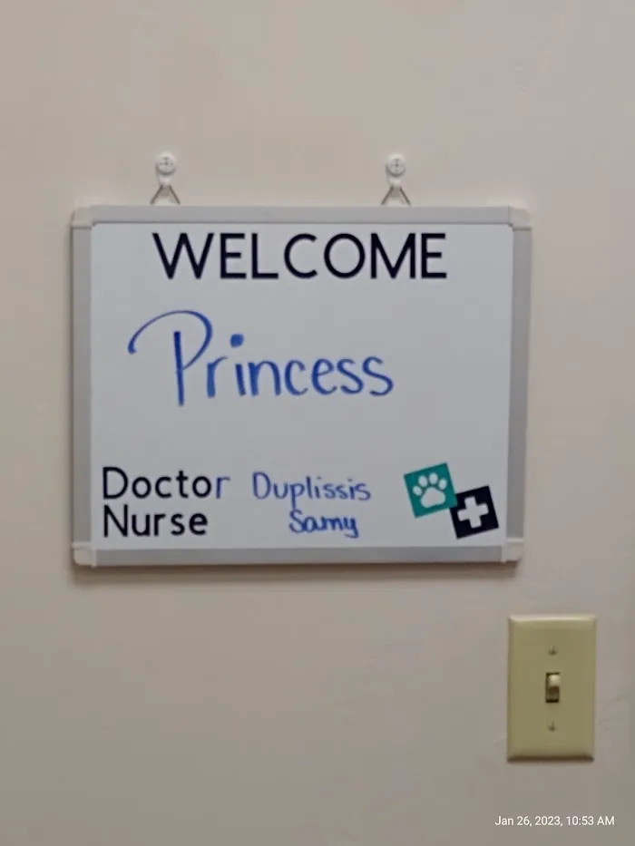 Dr. Marnie Duplissis, DVM CVCP 2