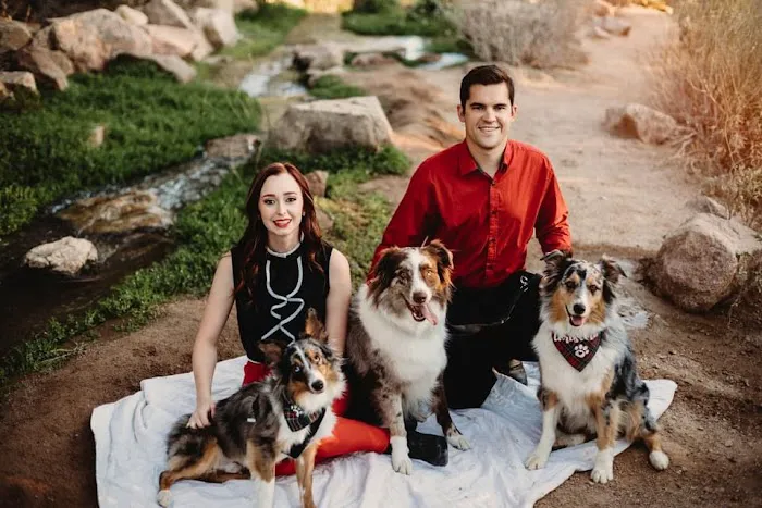 Copper Mountain Animal Hospital 4